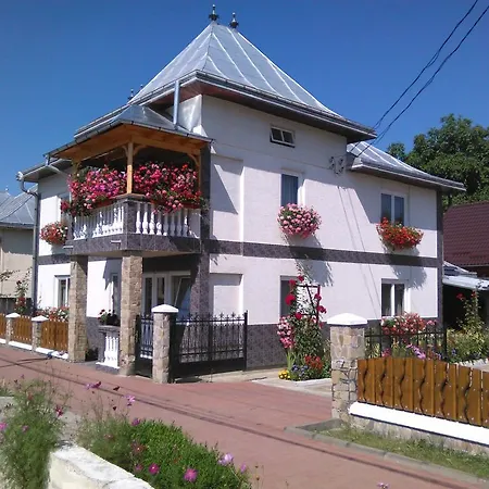 Elena Putna (Suceava)