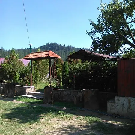 Elena * Putna (Suceava)