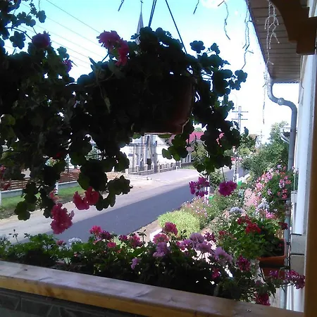 Maison d'hôtes Elena Putna (Suceava)